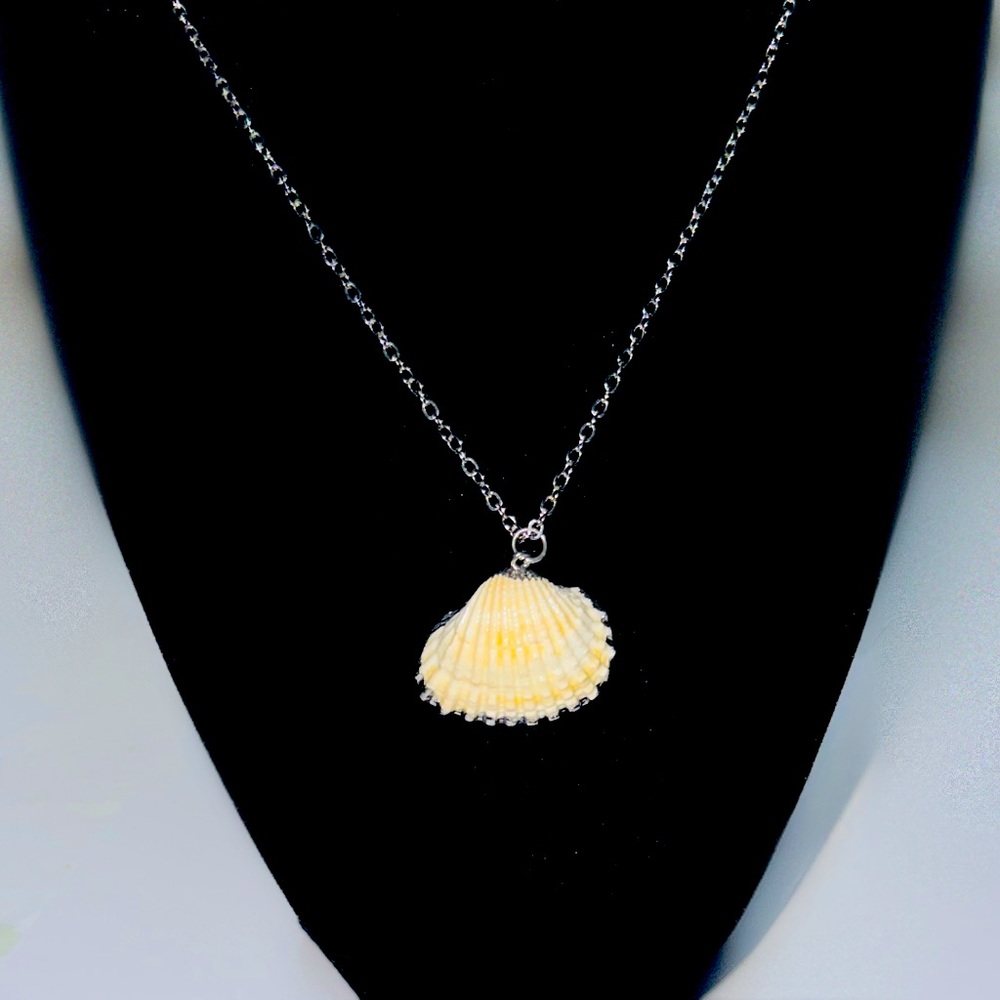 Show and Shell- Silver Necklace Beach Seashell Pendant and set of earrings.NWT